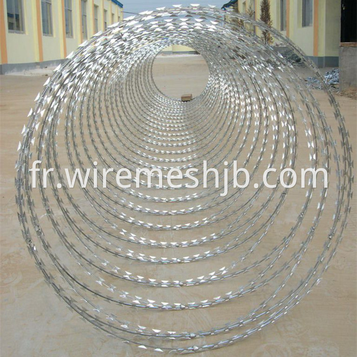 Concertina Razor Wire Fence